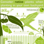 Australian Native Plants Infographic