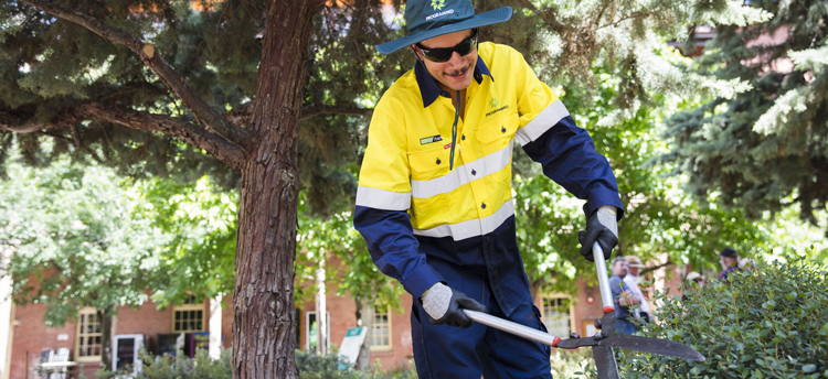 To Outsource or not? Evaluating the best strategy for your school