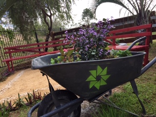 Programmed trainees give back to the local QLD community