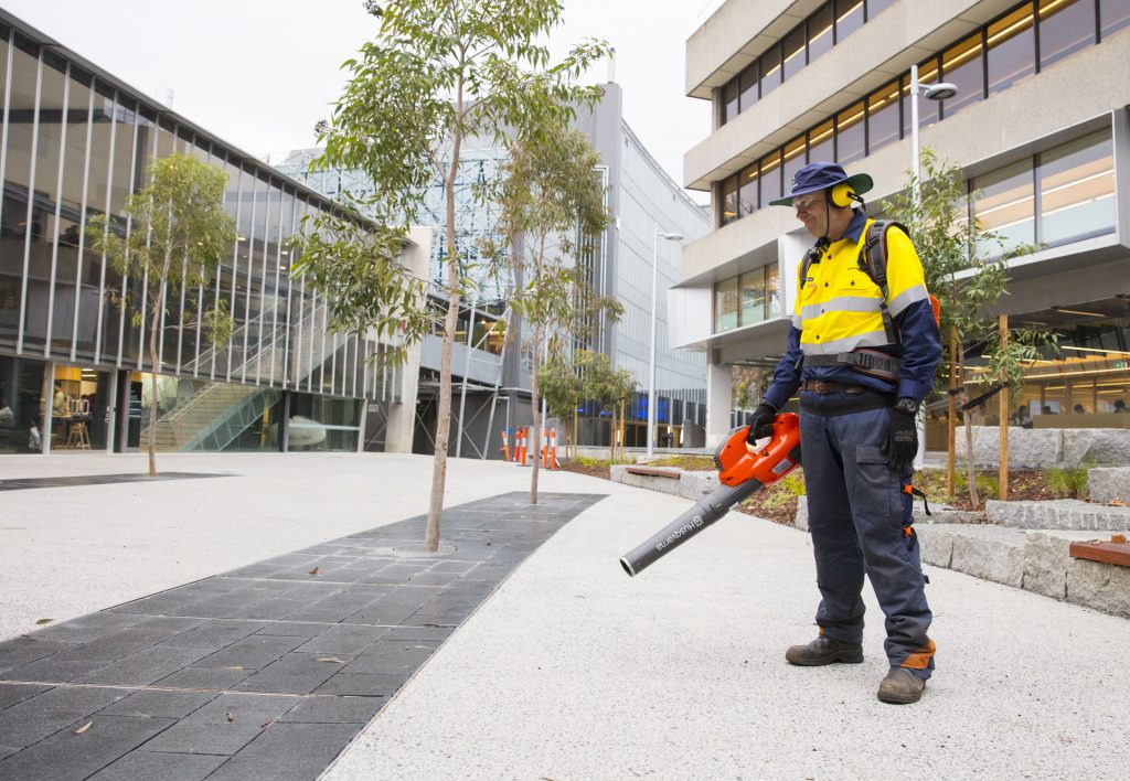 Understanding the World of Universities and Maintenance