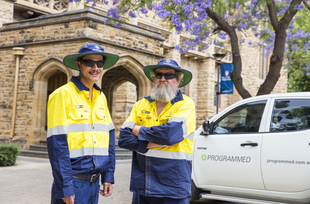 Grassroots Campus Sustainability at Roseworthy