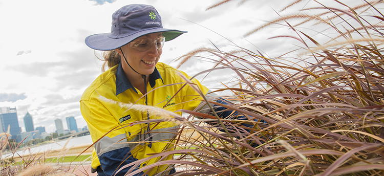 Korinda Riddington is Planting A Career Seed
