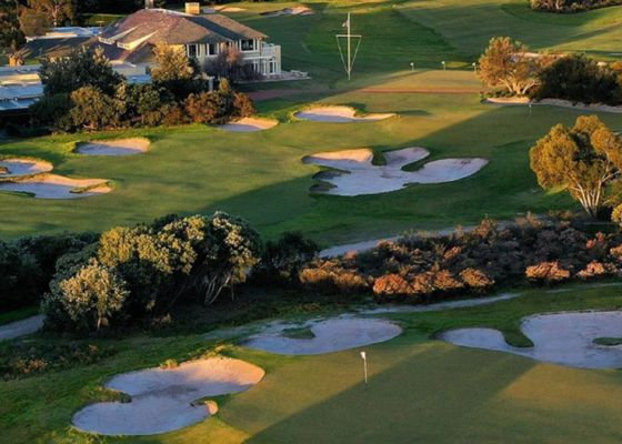 Programmed Open Space Growling Frog