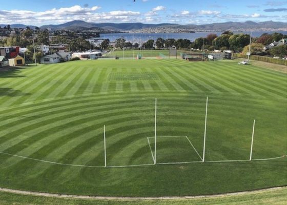 Programmed Open Space Sports Turf UTAS