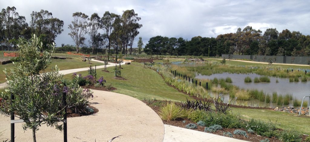 The Little Known Benefits of Constructed Wetlands