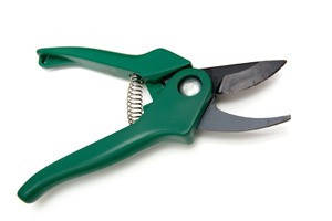 August Gardening Tips