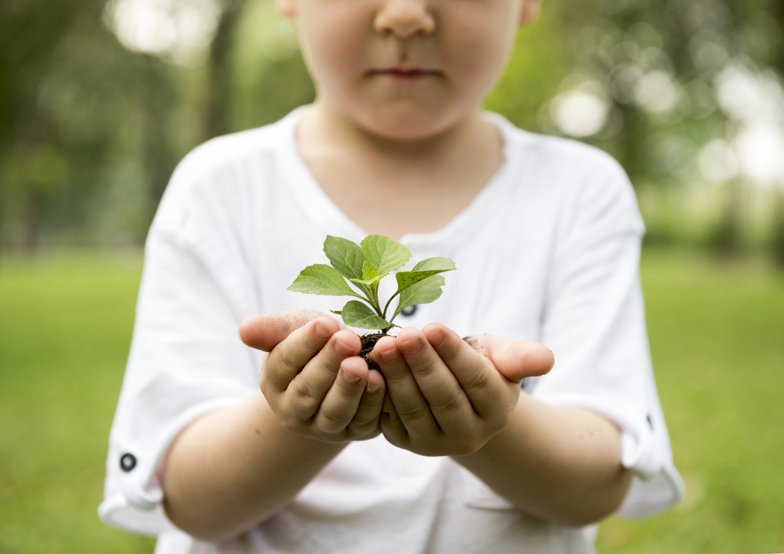 The case for ‘greening’ schools