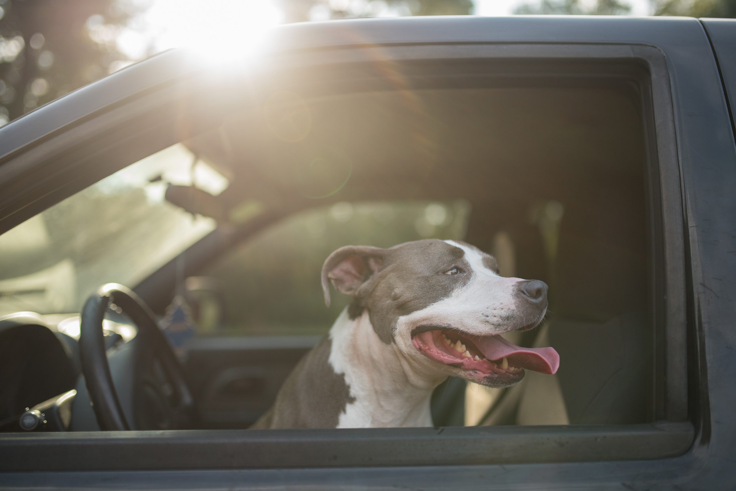 Avoid distractions, slow down, switch on and enjoy the ride