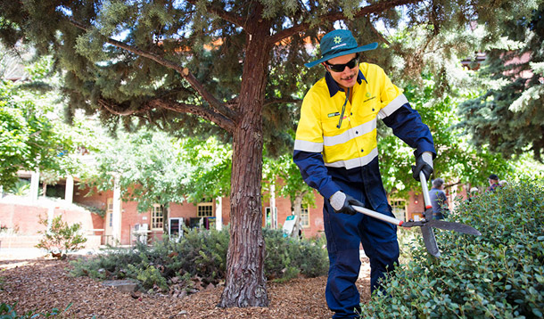 University of Adelaide