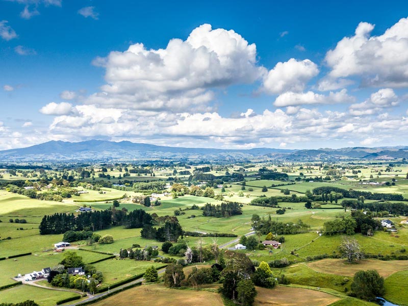 Waikato, BOP & Gisborne