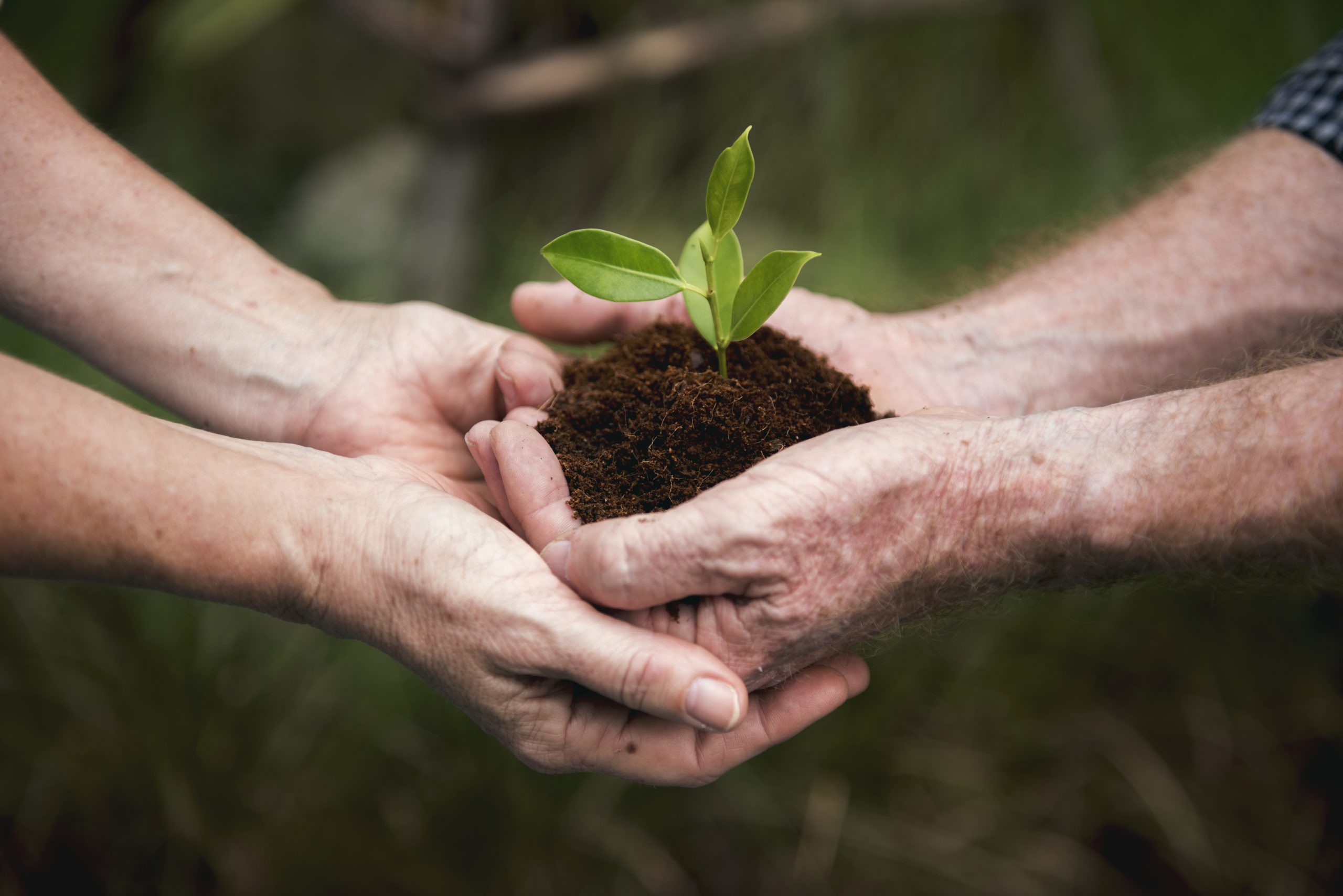 Invest in our planet this Earth Day