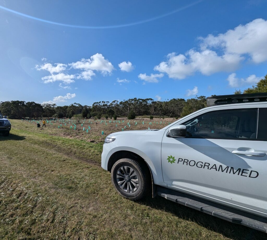 Programmed Marks National Tree Planting Day with Community Event