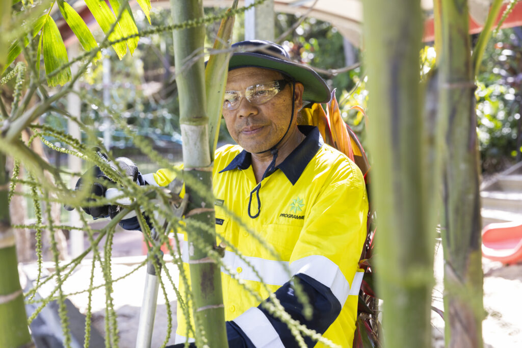 programmed property services open space expert