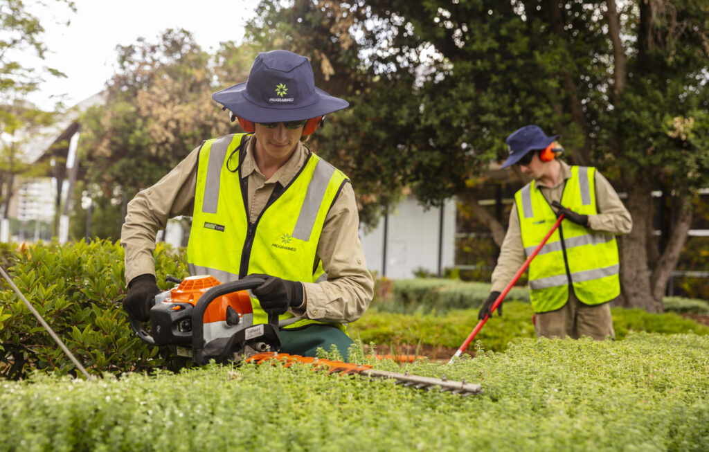 March Gardening Tips