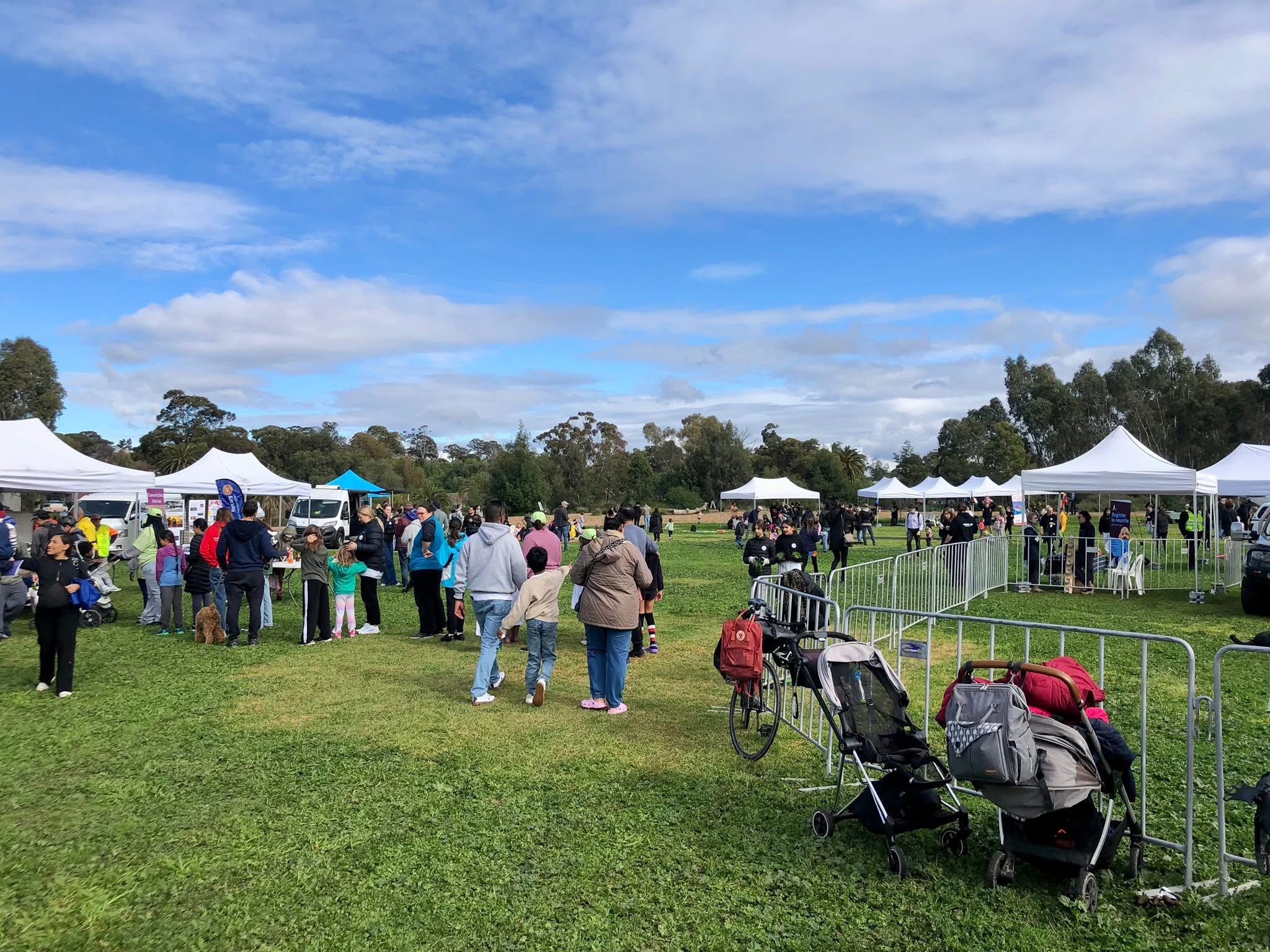 Branching Out for Sustainability: Afton Street Reserve Project
