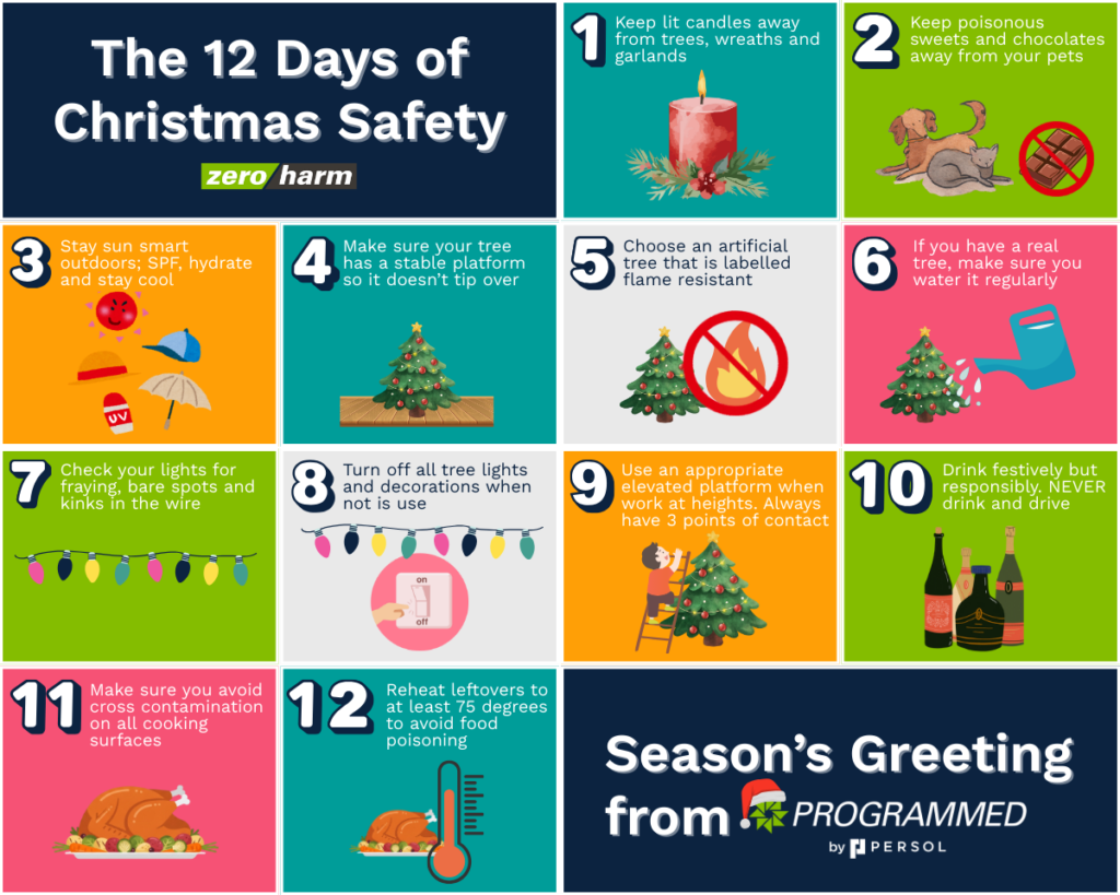 12 Days of Christmas Safety