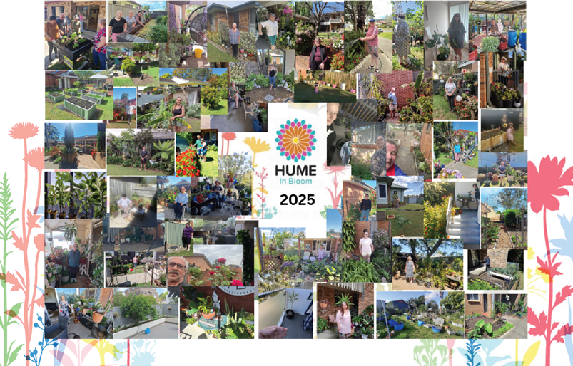 Programmed Supports Hume in Bloom 2025