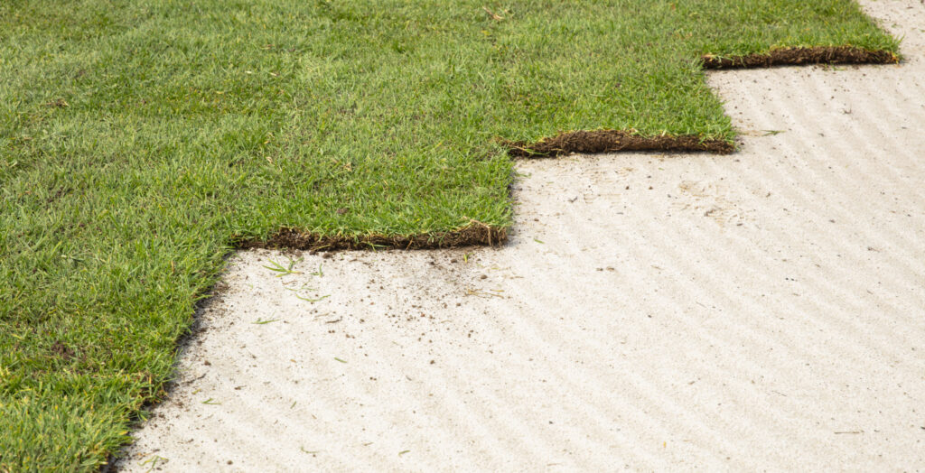 Considerations for Commercial Landscapes