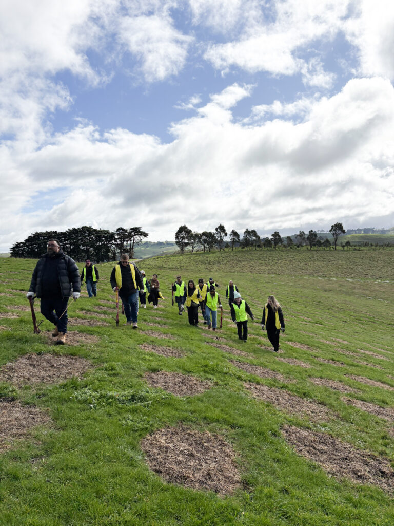 Growing Roots for the Future: Programmed Joins Greenfleet to Restore Native Forest